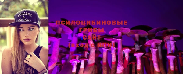 spice Пролетарск