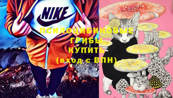 гашиш Протвино