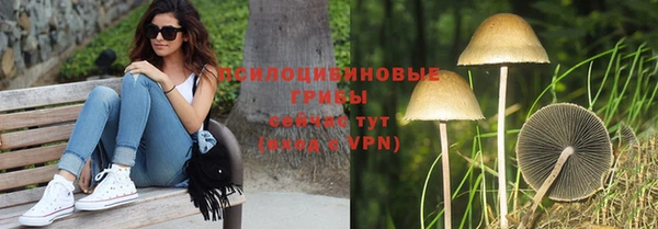 гашиш Протвино