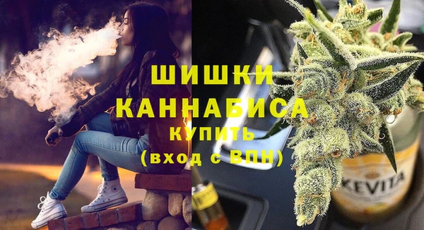 дмт Гатчина