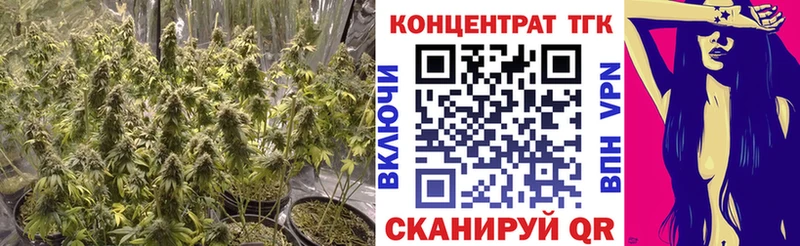 кракен ссылки Сусуман Дистиллят ТГК концентрат