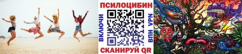 Галлюциногенные грибы Cubensis  kraken   Сусуман 